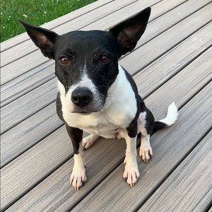 Meet your Posher, Angie